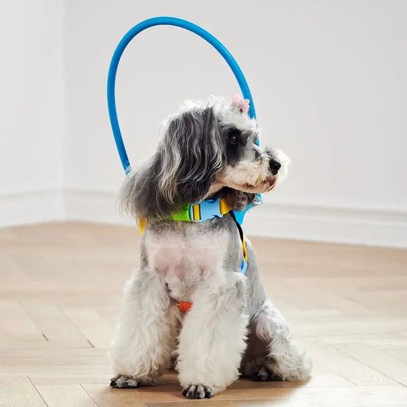 Blind Dogs Pet Safe Harness Anti-Collision Ring Pets Weak Color Guide Circle Animal Protection Collar Rings C6UE