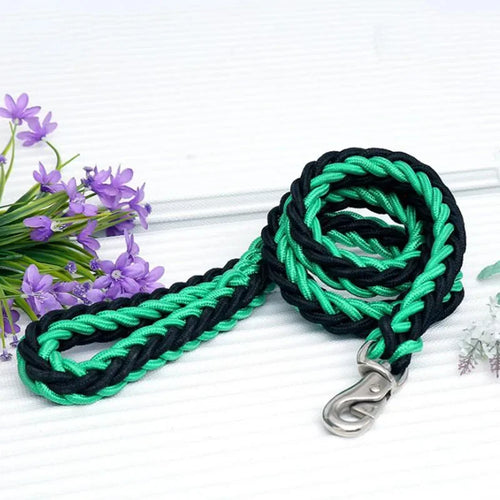130Cm L/XL Super Strong Coarse Nylon Dog Leash Army Green Canvas Double Row Adjustable Dog Collar for Medium Large Dogs