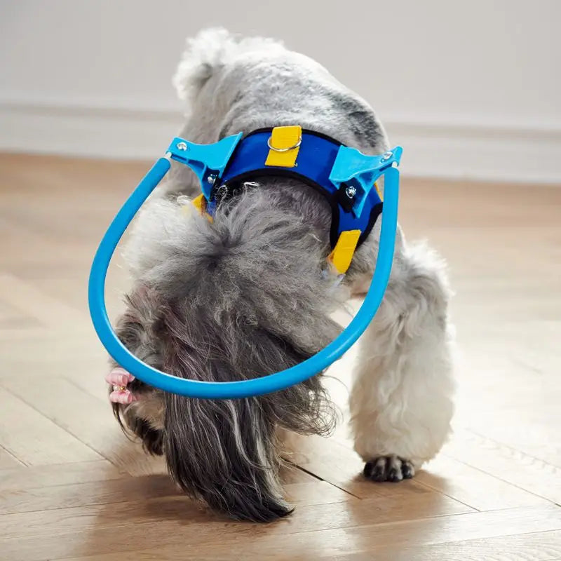 Blind Dogs Pet Safe Harness Anti-Collision Ring Pets Weak Color Guide Circle Animal Protection Collar Rings C6UE