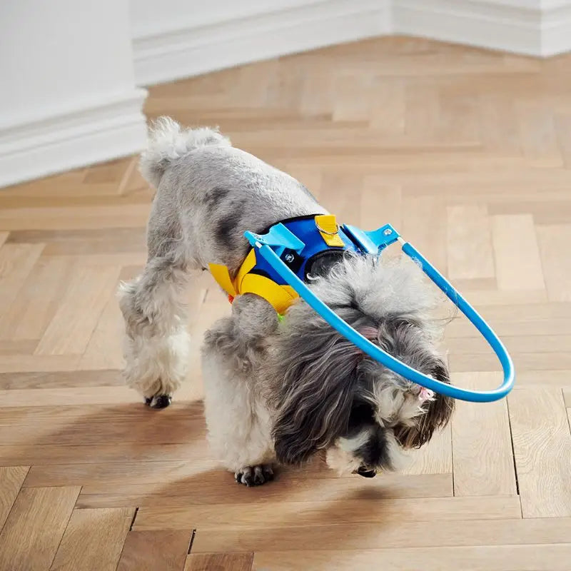 Blind Dogs Pet Safe Harness Anti-Collision Ring Pets Weak Color Guide Circle Animal Protection Collar Rings C6UE